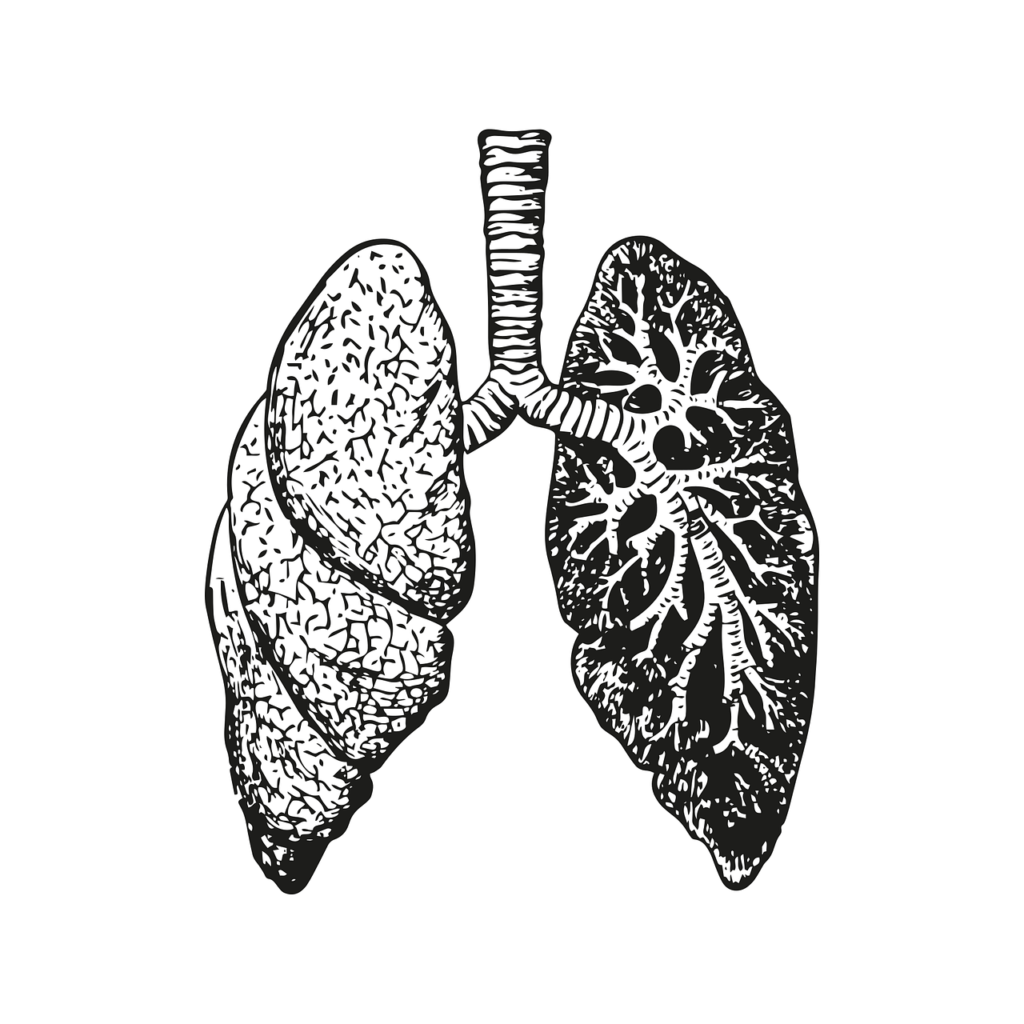 Respiratory & Lung Function